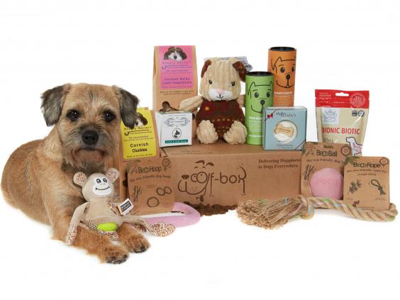 Christmas 2014: 10 best gifts for animal lovers | The Independent