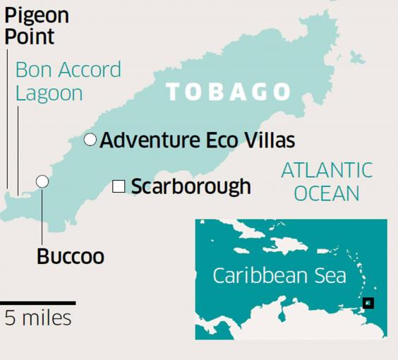 Tobago by night: Paddle boarding with bioluminescence | The Independent Tobago by night: Paddle boarding with bioluminescence