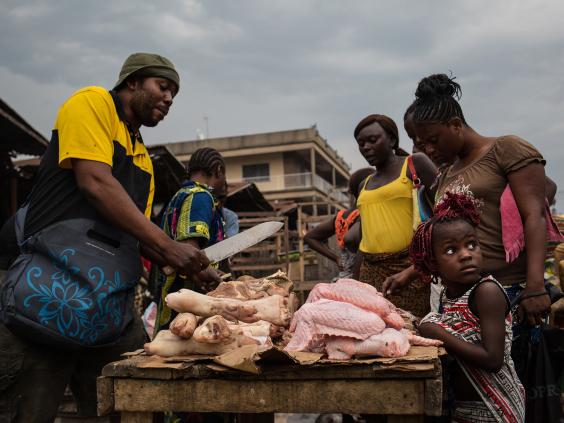 Tracking Ebola The Killer Hiding In The Jungle The