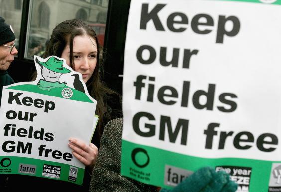 gm-crops-getty.jpg gm-crops-getty.jpg