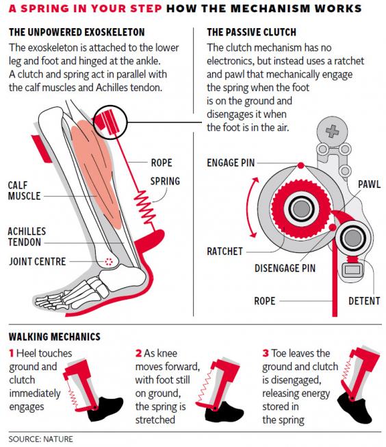 Scientists develop mechanical springloaded leg brace to improve