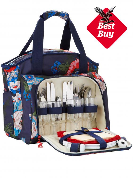 one day picnic bag