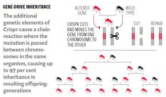 4-Graphic2.jpg 4-Graphic2.jpg
