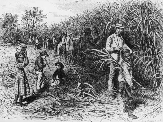 Slavery: The Role Of Immigrants In Colonial America
