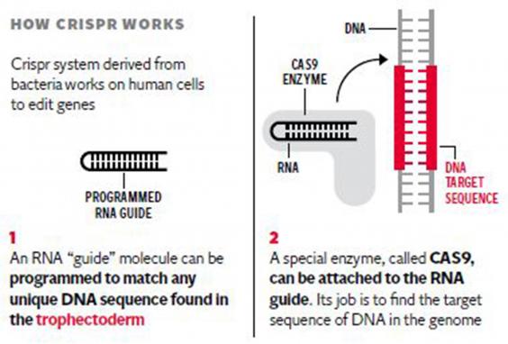 5-Graphic1.jpg 5-Graphic1.jpg