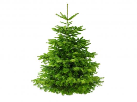 Christmas trees: Real or fake? | Ask Aunty Grace