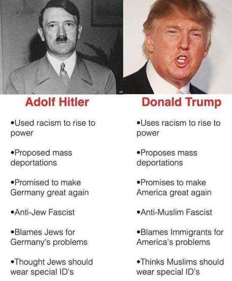 Image result for parallels between trump and hitler