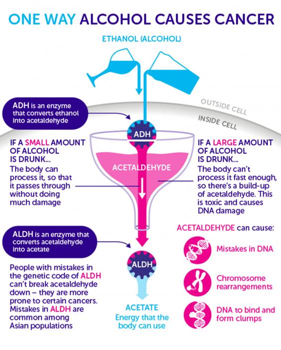 Alcohol and kidney cancer