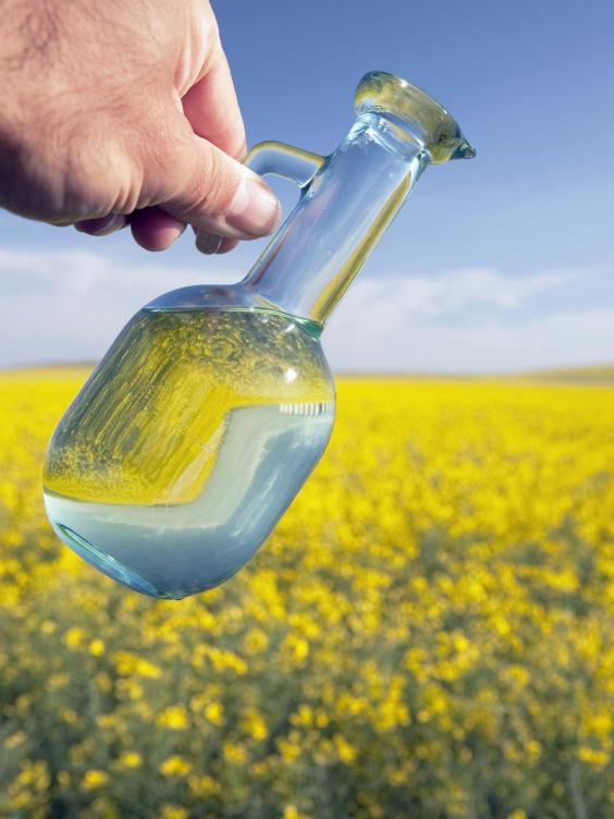 Scientists discover vegetable oil that 'helps reduce stomach fat' The