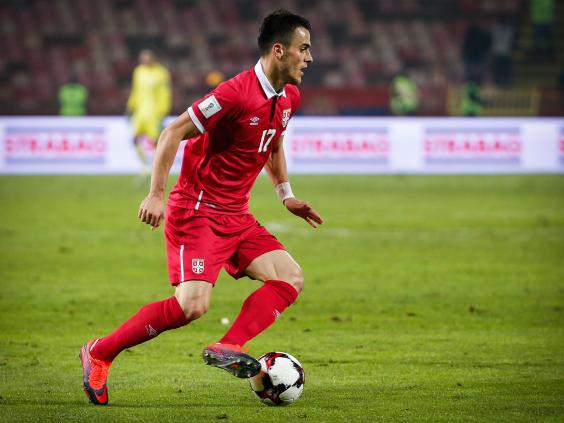 filip-kostic1.jpg filip-kostic1.jpg