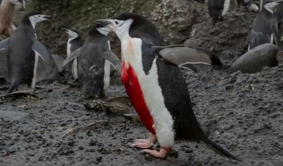 14 of the most jawdropping scenes from Earth II