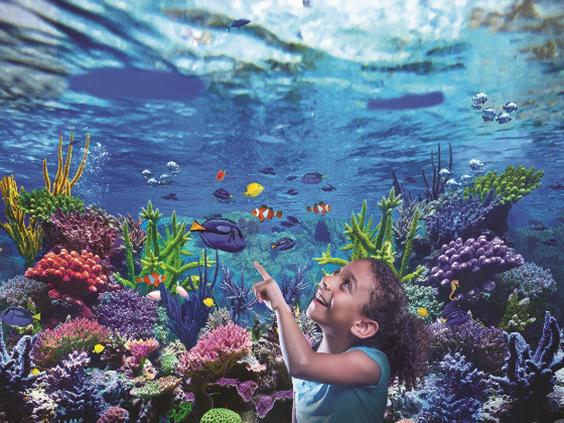 Sea life centre deals uk