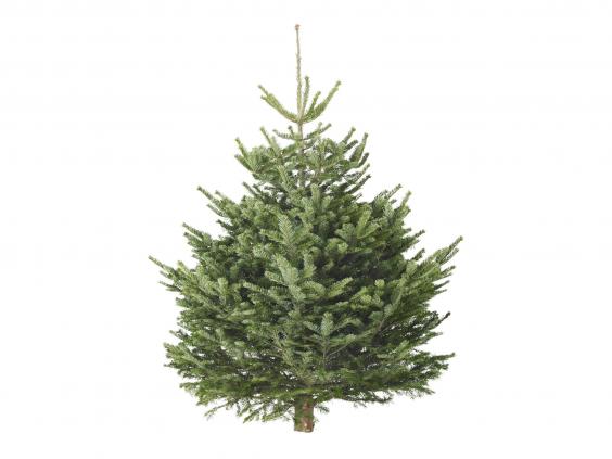 Ikea Canada Christmas Tree Stand Adxeng Happynewyear Site