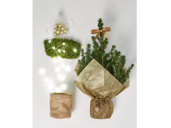 14 best real Christmas trees The Independent 14 best real Christmas trees The Independent
