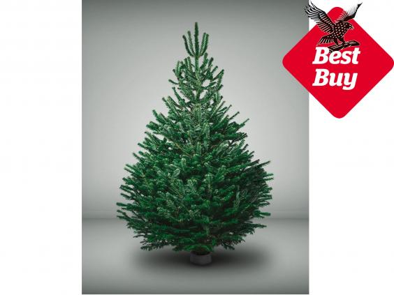 14 best real Christmas trees | The Independent