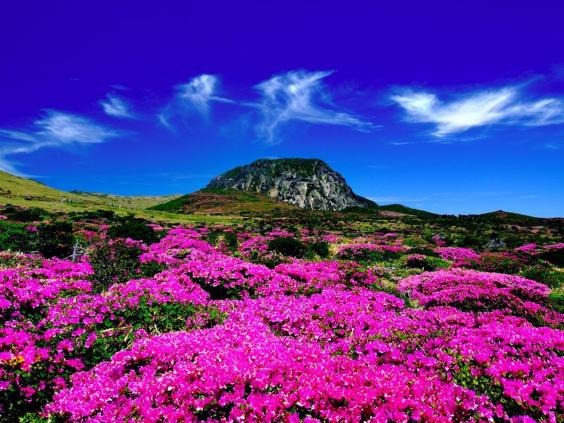 south-korea-jeju-island.jpg south-korea-jeju-island.jpg