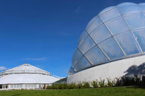 14135-vaeksthusene-i-botanisk-have-science-museerne-.jpg