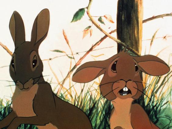 Watership down government