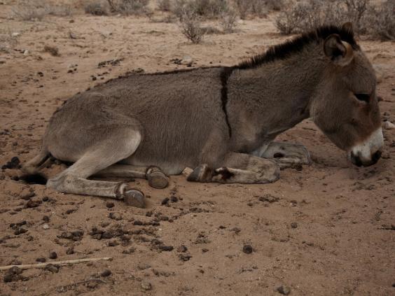 somaliland-2.jpg