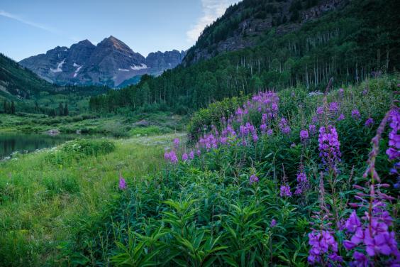 Aspen In Summer The Colorado Ski Town That Isn T Just For Winter The   Aspen Summer 