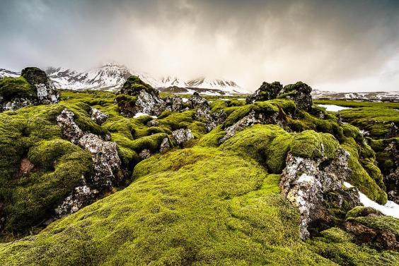 Tourists carve 'send nudes' into mossy Iceland hill | The Independent