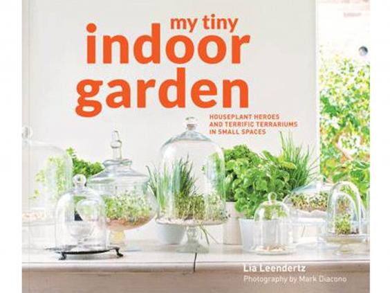 my-tiny-indoor-garden.jpg my-tiny-indoor-garden.jpg