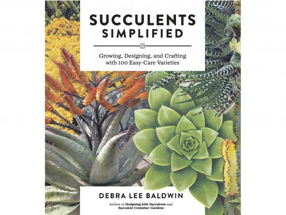 succulents-simplified.jpg succulents-simplified.jpg