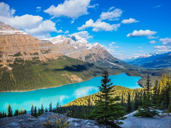 It's hard to believe that Peyto Lake's sparkling turquoise water is natural, but the color actually comes from significant amounts of glacial flour (tiny rock particles that result from glacial erosion) that are deposited into the water. | The Independent