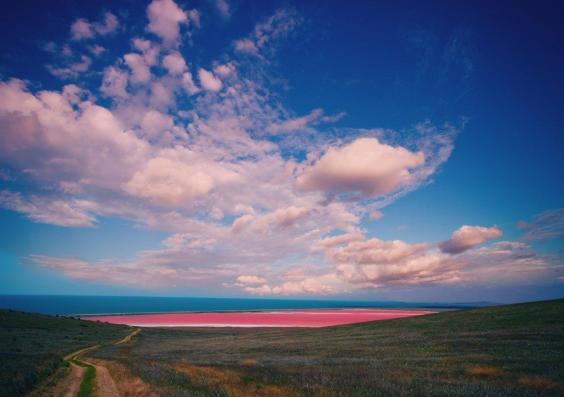 This bubblegum pink lake in Australia may not seem natural, but it actually gets its neon colorfrom a chemical called carotene, which is produced by algae. | The Independent