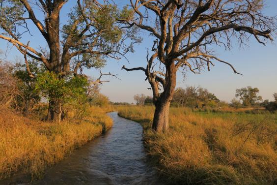 How Botswana S High Quality Low Impact Tourism Model Is Helping Put An