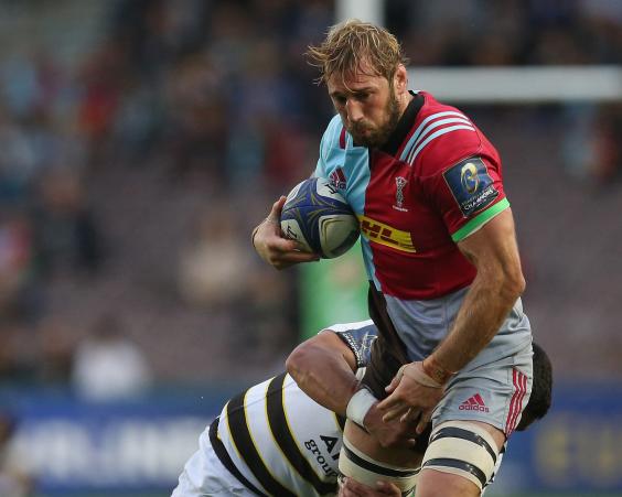 robshaw-3.jpg robshaw-3.jpg