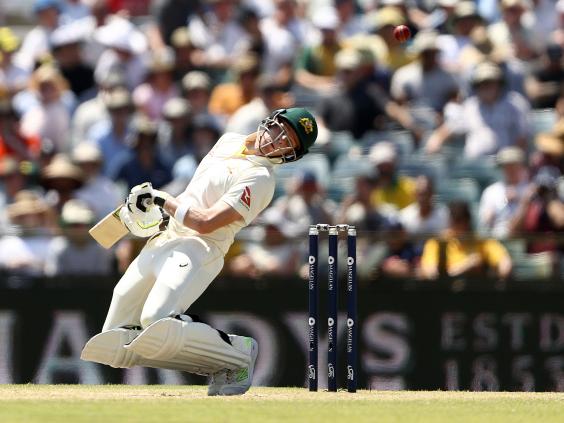steve-smith4.jpg