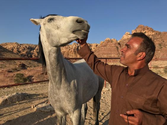 jordanhorses.jpg