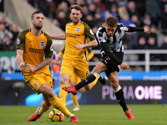 newcastle-brighton-2.jpg