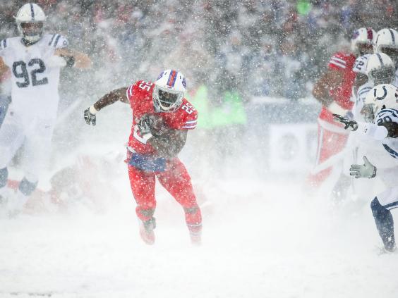 lesean-mccoy.jpg