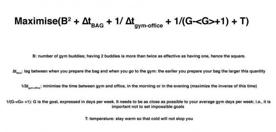 the fitness equation cost