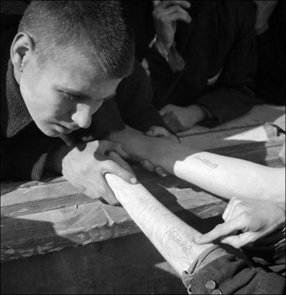 tattooist-of-auchwitz.jpg
