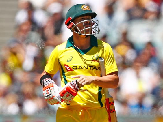 david-warner.jpg