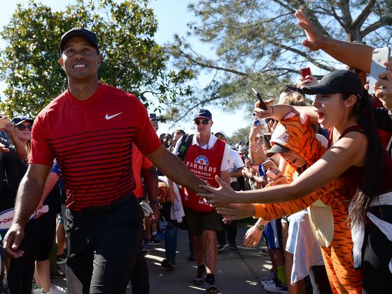 tiger-woods5.jpg