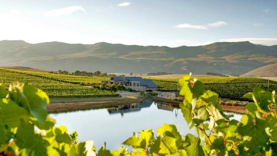 creation-wine-farm-hemel-an-aarde-valley-photo-by-creation-wines.jpg