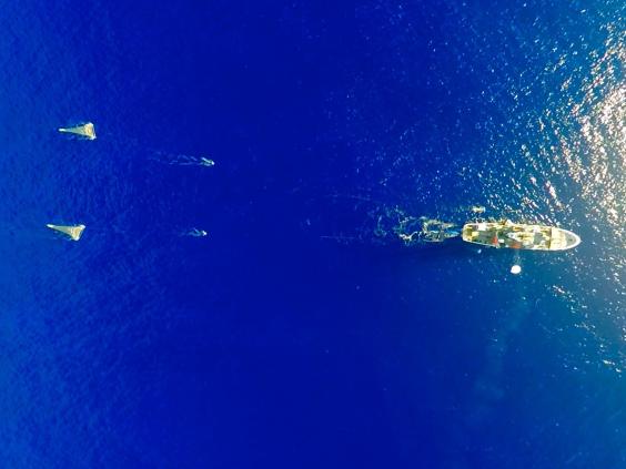ship-ocean-cleanup.jpg