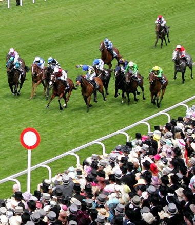 Takeover Target (centre, white cap) leads home the field