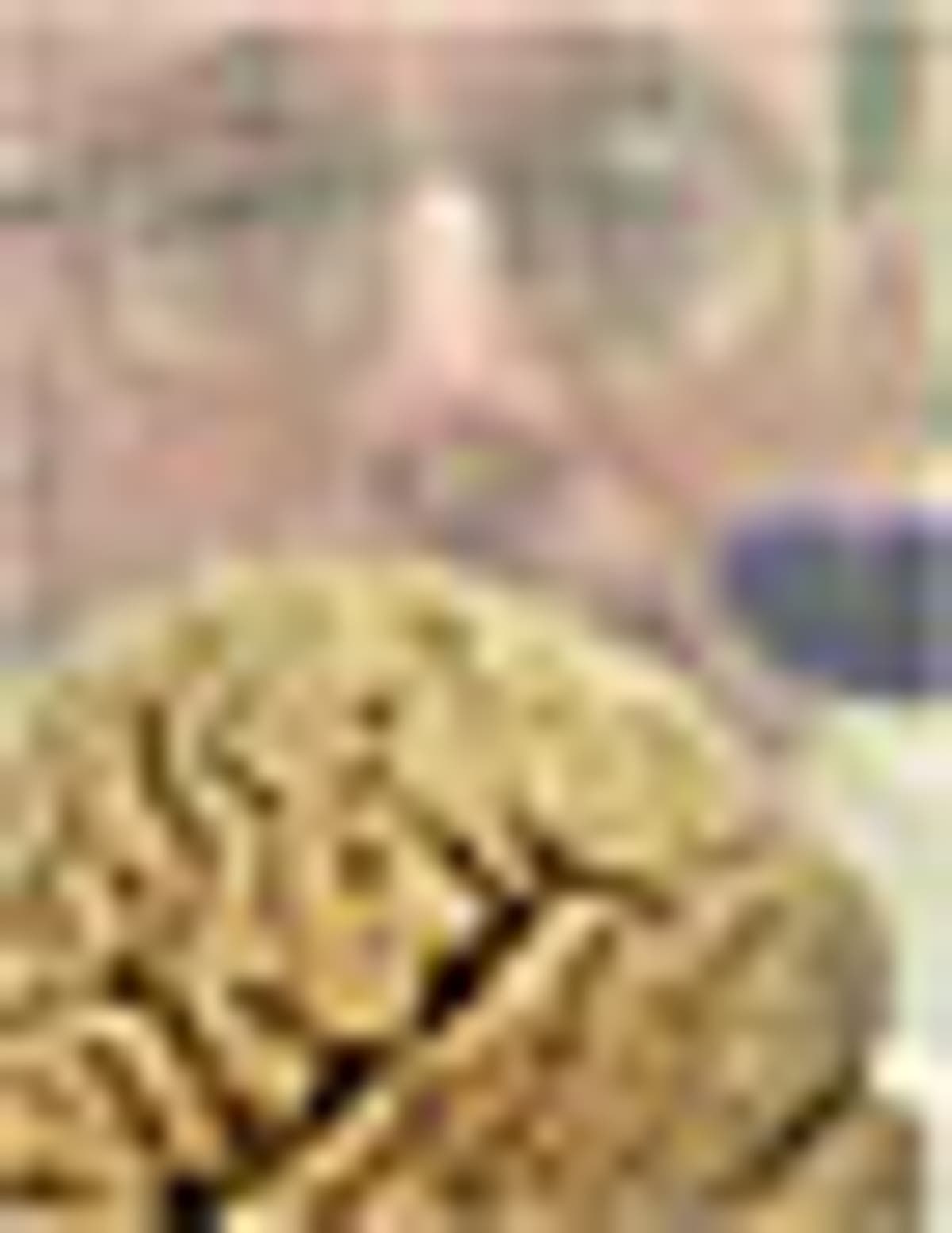 Bigger Brains, Bigger Minds?  The Australopithecine Brain Size Mystery Solved - 3ti2q7g