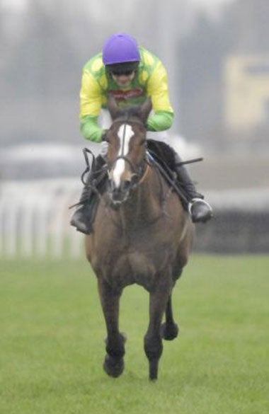 Kauto Star after winning the King George VI Chase at Kempton