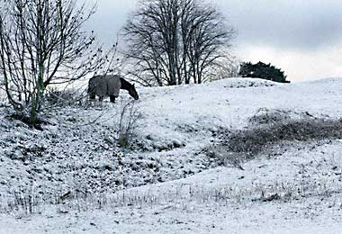 A snow-covered field in Kent