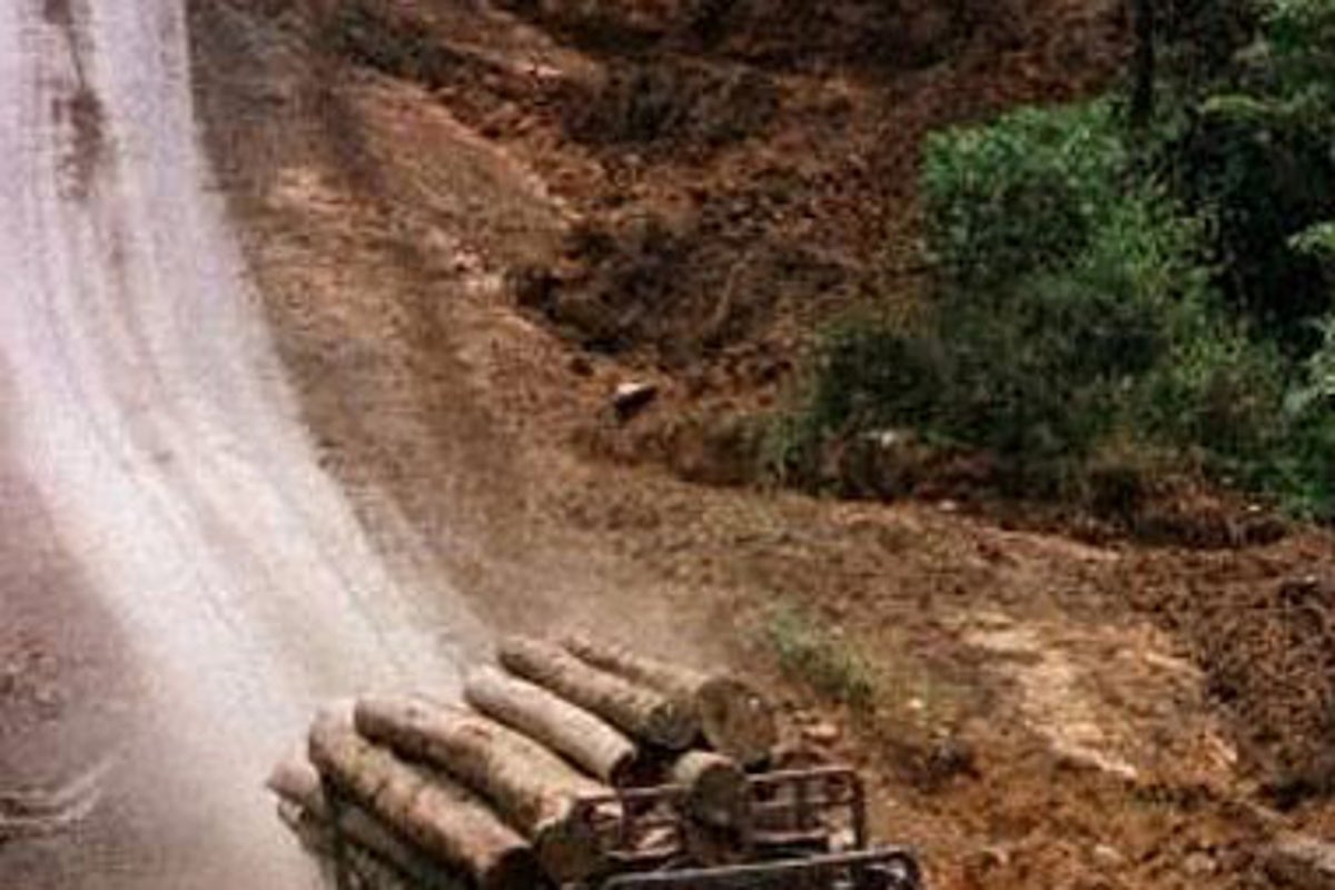 Revealed: the true devastation of the rainforest | The Independent ...