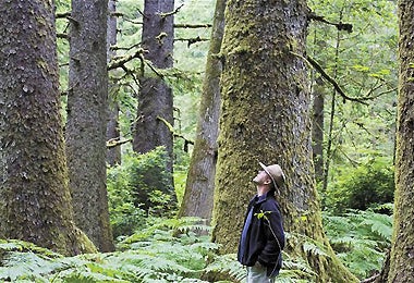 The Graduate School for the Environment's environmental and energy studies course has 400 students