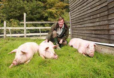 Charlie Brocket with his pigs at Osney Lodge Farm in Surrey