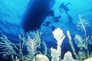 Cuba is making a mark on the diving map