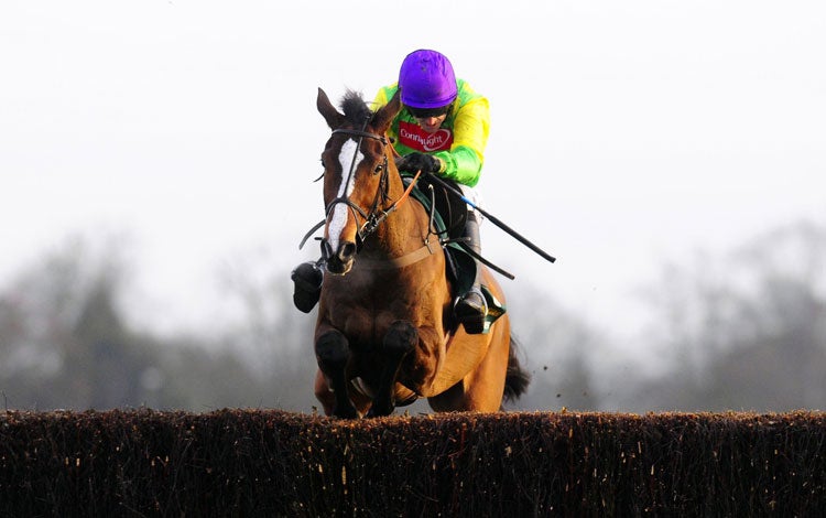 The eagerly awaited Cheltenham Gold Cup encounter between the giants of steeplechasing, Kauto Star (above) and Denman, has divided racing